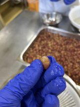 デラウエアの加工をしています🍇