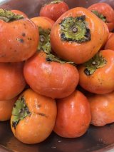 柿の加工が始まりました！