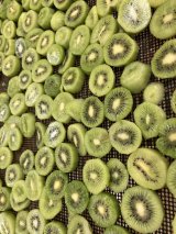 キウイの加工が始まりました🥝