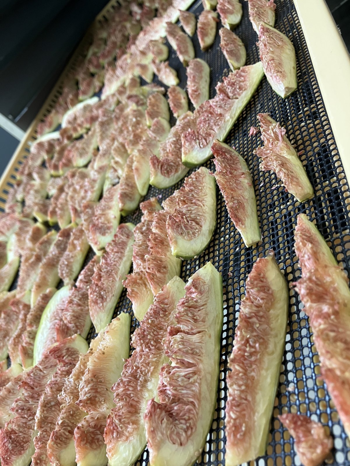 いちじくの加工が始まりました!